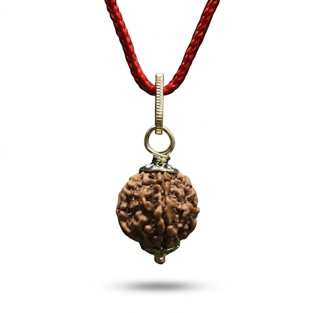🎁 5 MUKHI RUDRAKSHA