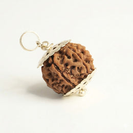 7 mukhi rudraksha(LAB. TESTED)
