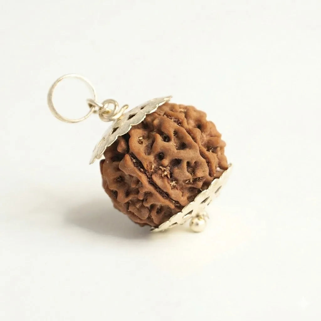 The Wealth Bead — 7 Mukhi