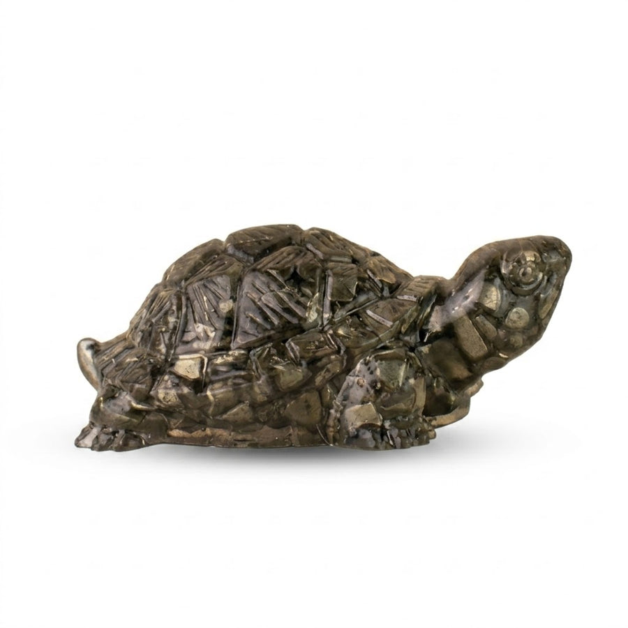 PYRITE TORTOISE