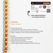 Divya Rudra Shield Kada