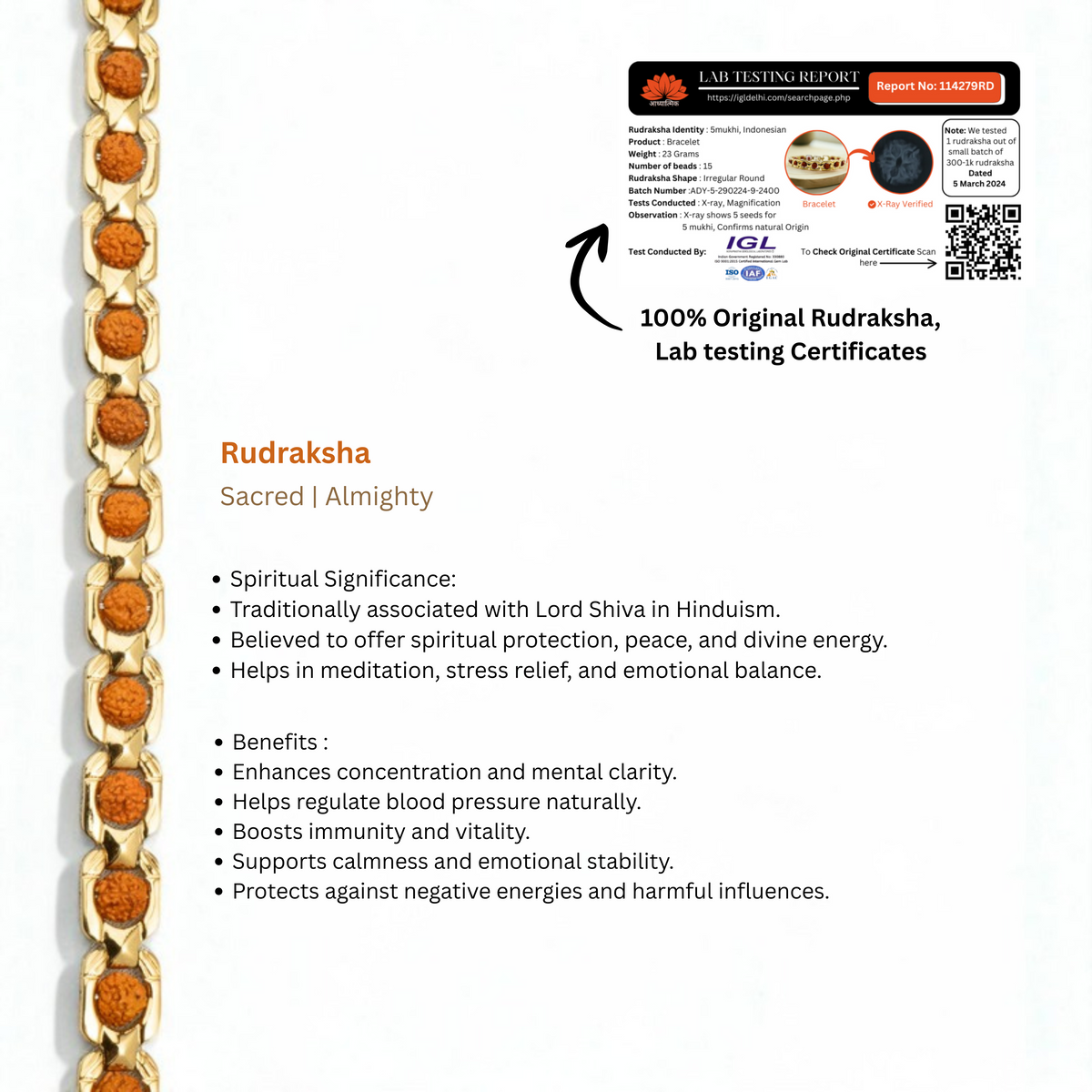 Trinetra Rudraksha Kada